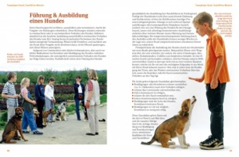 Preview: Teamplayer Hund